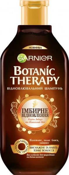 Шампунь Garnier Botanic Therapy Имбирное восстановление для истощенных и тонких волос 400 мл (3600542310512) VBВ00097740 фото